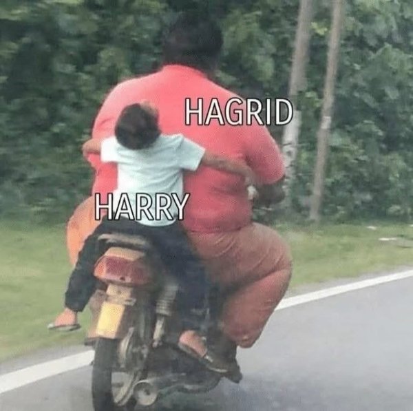 Memes For ''Harry Potter'' Fans (34 pics)