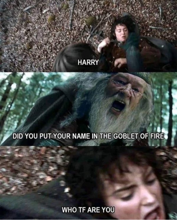 Memes For ''Harry Potter'' Fans (34 pics)