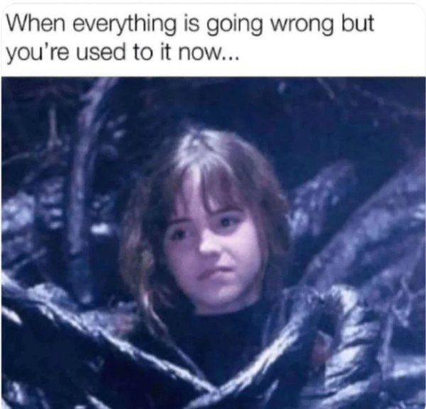 Memes For ''Harry Potter'' Fans (34 pics)