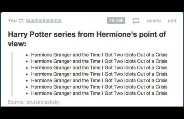 Memes For ''Harry Potter'' Fans (34 pics)