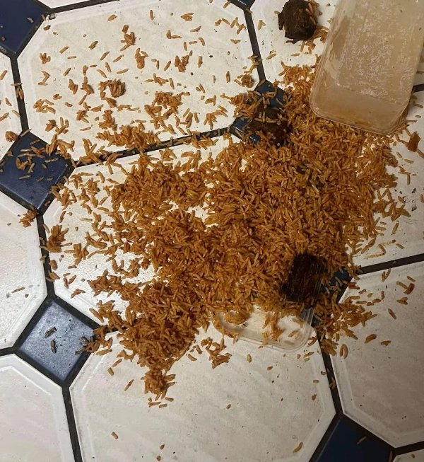 Bad Days Happen (25 pics)