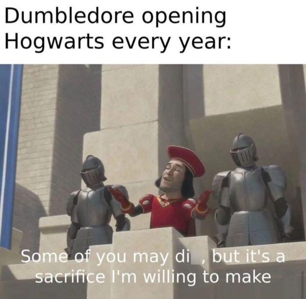 Memes For ''Harry Potter'' Fans (34 pics)