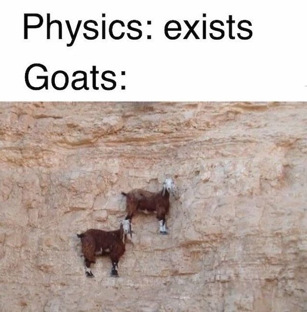Science Memes (24 pics)