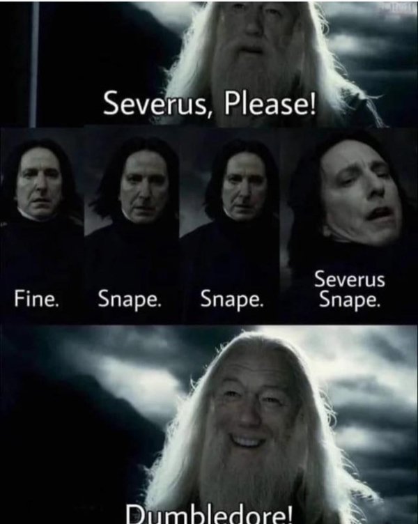 Memes For ''Harry Potter'' Fans (34 pics)