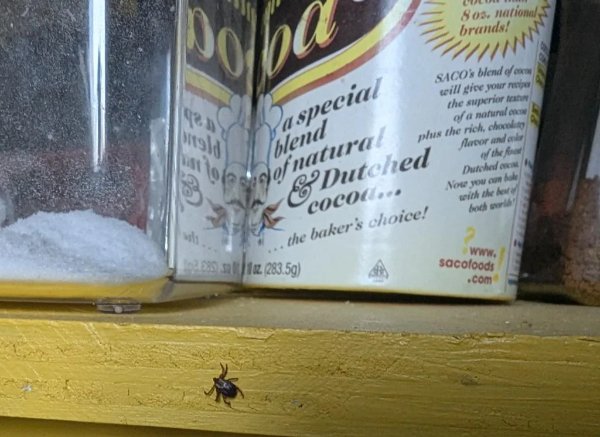 Bad Days Happen (25 pics)