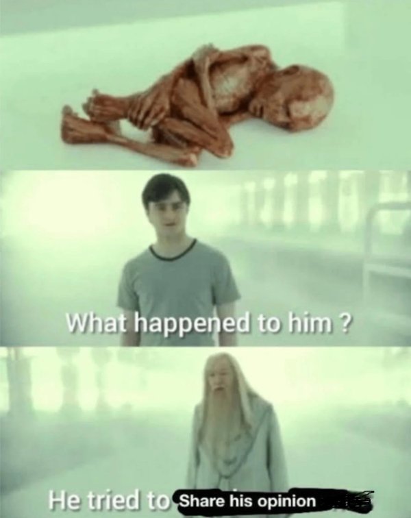 Memes For ''Harry Potter'' Fans (34 pics)