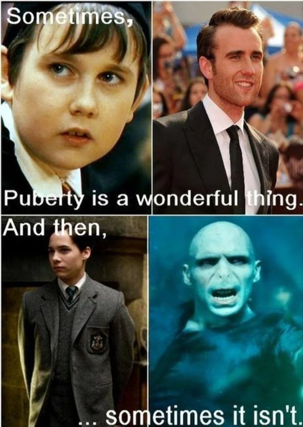 Memes For ''Harry Potter'' Fans (34 pics)