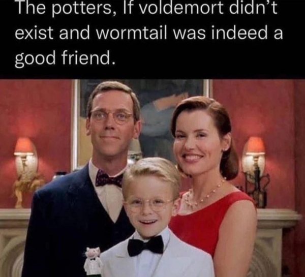 Memes For ''Harry Potter'' Fans (34 pics)