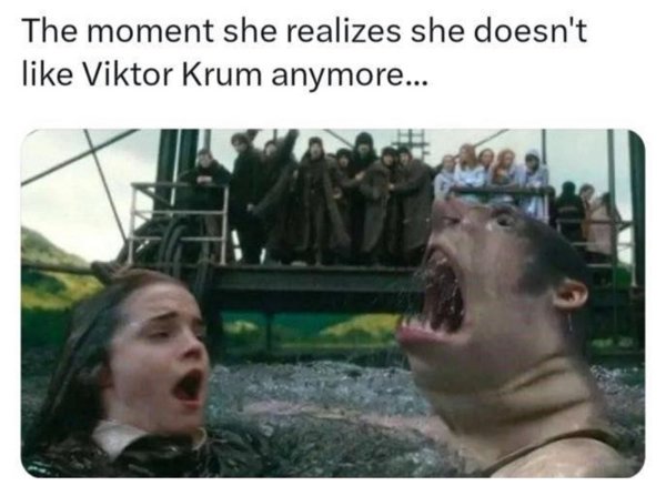 Memes For ''Harry Potter'' Fans (34 pics)