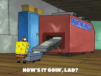 Random Facts (20 gifs) Random Facts (20 gifs)