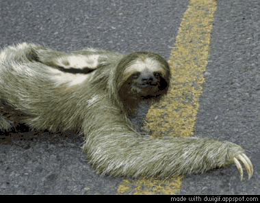 Random Facts (20 gifs) Random Facts (20 gifs)