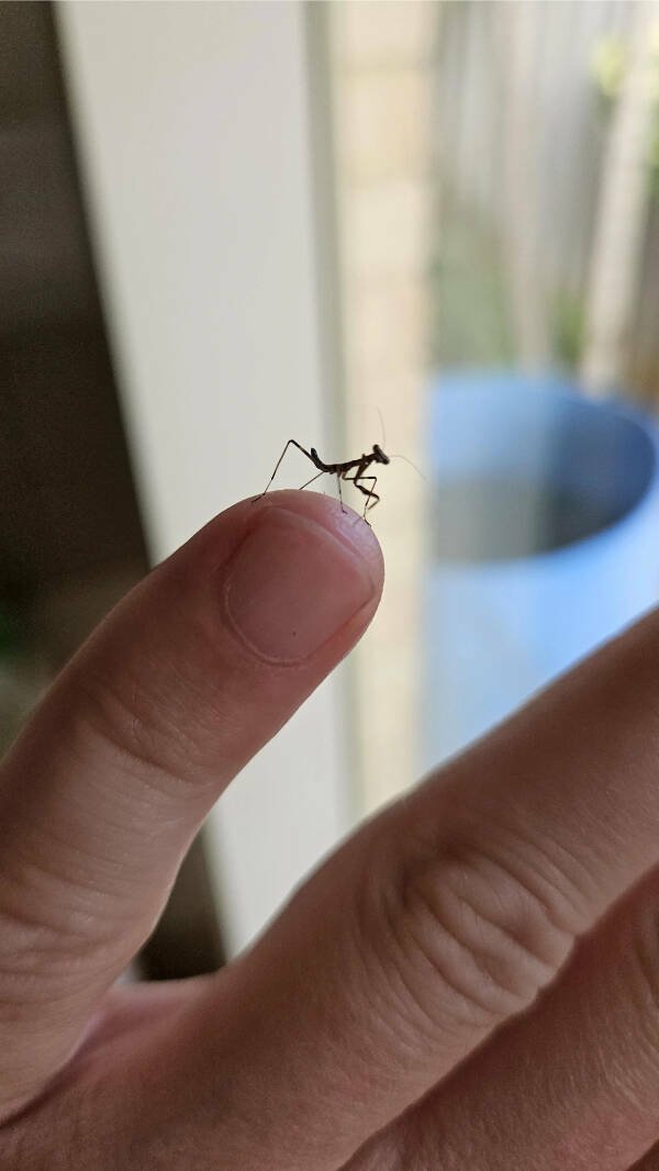 Fascinating Finds (23 pics)
