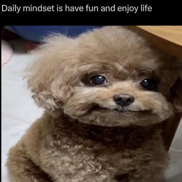 Posts And Photos For Good Mood (17 pics)