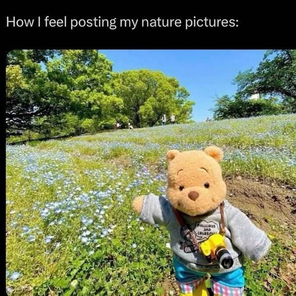 Posts And Photos For Good Mood (17 pics)