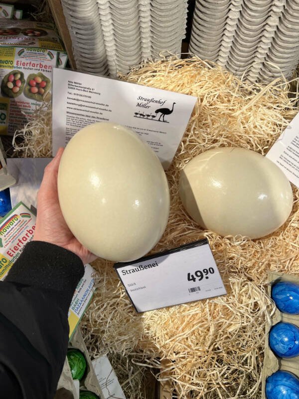 Fascinating Finds (23 pics)