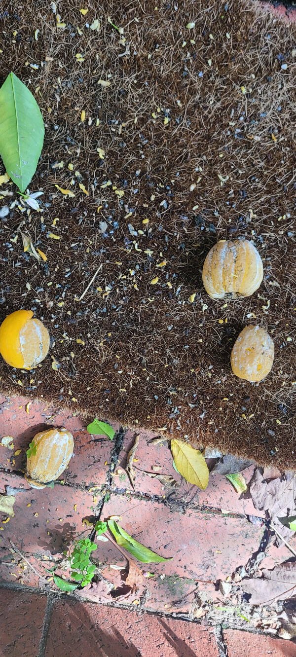 Fascinating Finds (23 pics)