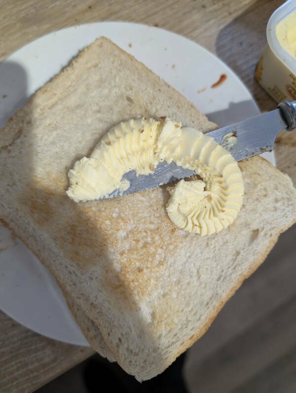 Fascinating Finds (23 pics)