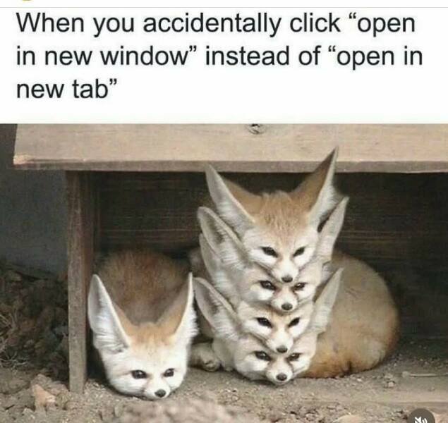 Truthful Memes (24 pics)
