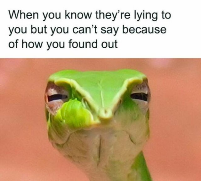 Truthful Memes (24 pics)