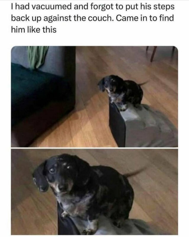 Truthful Memes (24 pics)