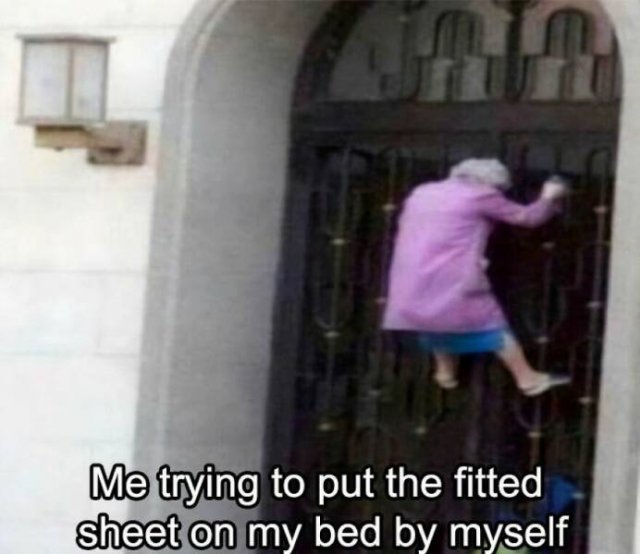 Truthful Memes (24 pics)