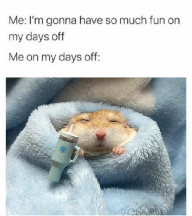 Truthful Memes (24 pics)