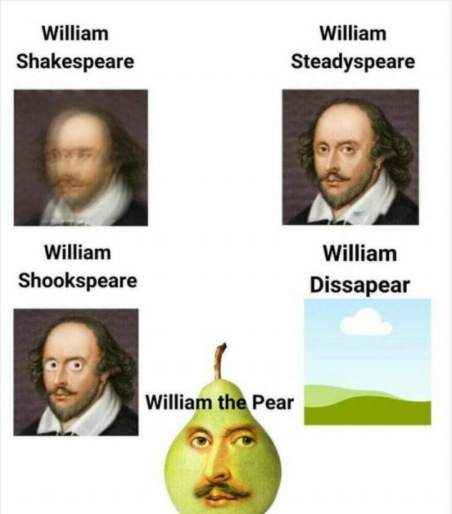 Truthful Memes (24 pics)