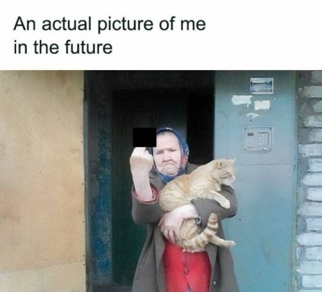 Truthful Memes (24 pics)