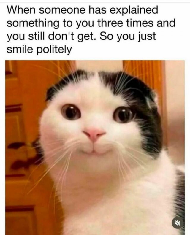 Truthful Memes (24 pics)