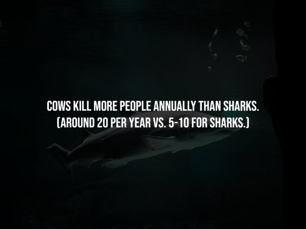 Creepy Facts (14 pics)