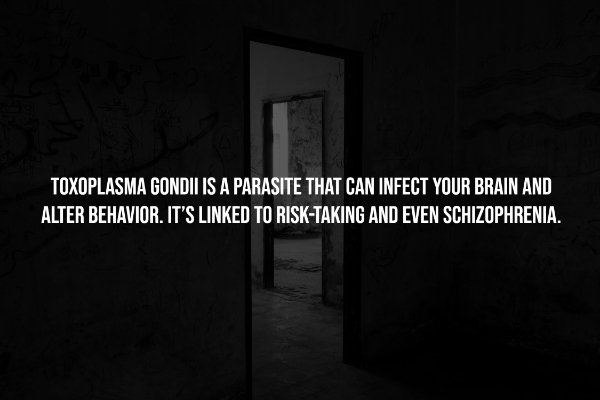 Creepy Facts (14 pics)