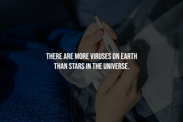 Creepy Facts (14 pics)