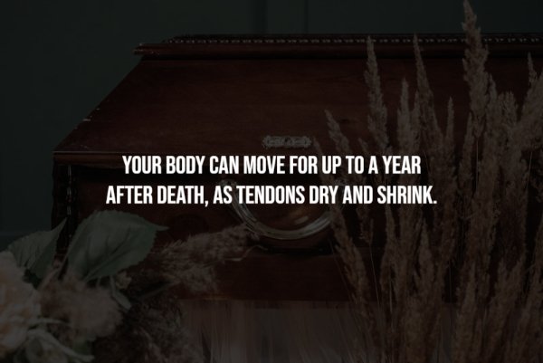 Creepy Facts (14 pics)