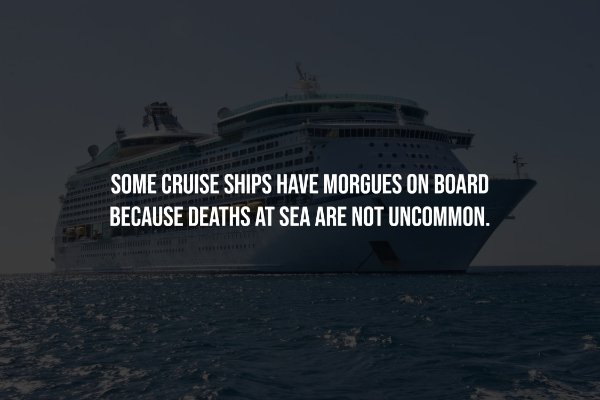 Creepy Facts (14 pics)