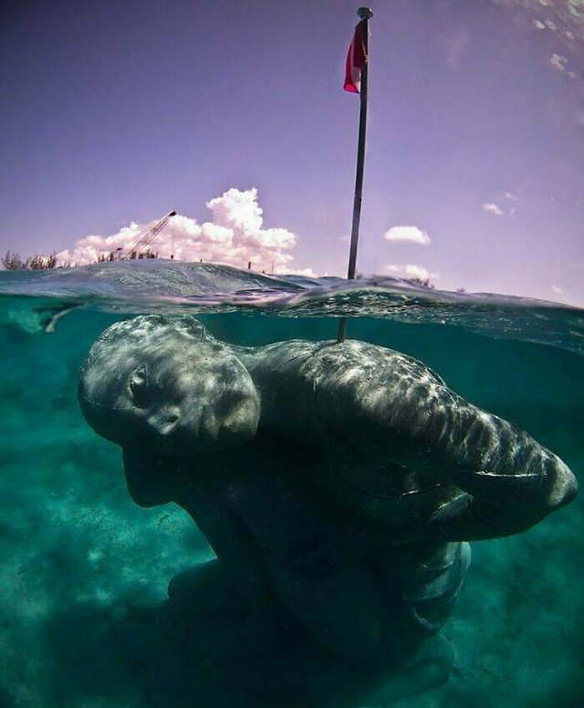 Strange Finds From The Ocean (29 pics)