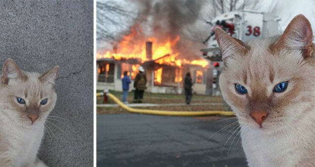 Funny Photoshop (23 pics)