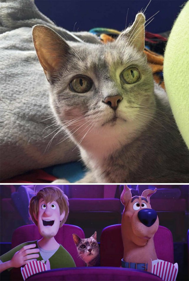 Funny Photoshop (23 pics)