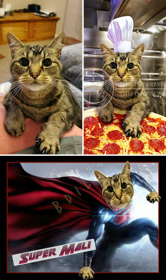 Funny Photoshop (23 pics)