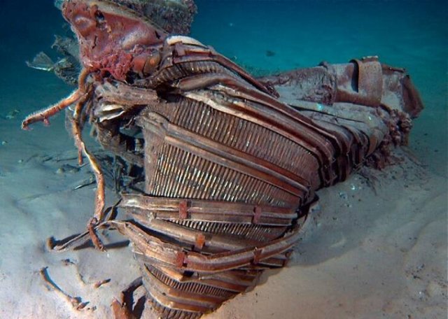 Strange Finds From The Ocean (29 pics)