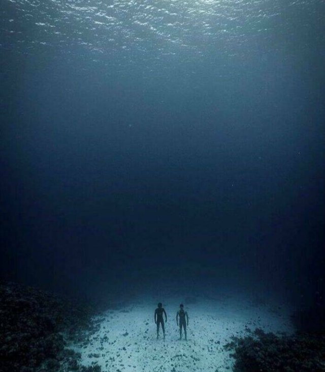 Strange Finds From The Ocean (29 pics)
