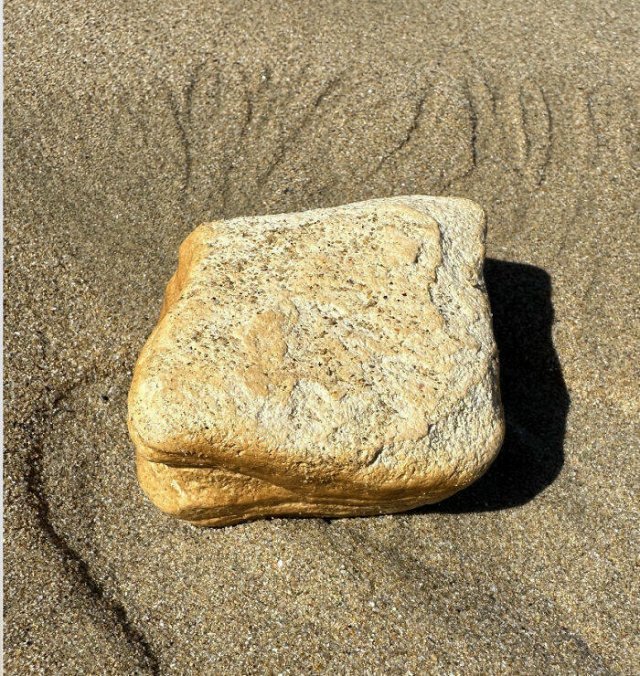 Strange Finds From The Ocean (29 pics)