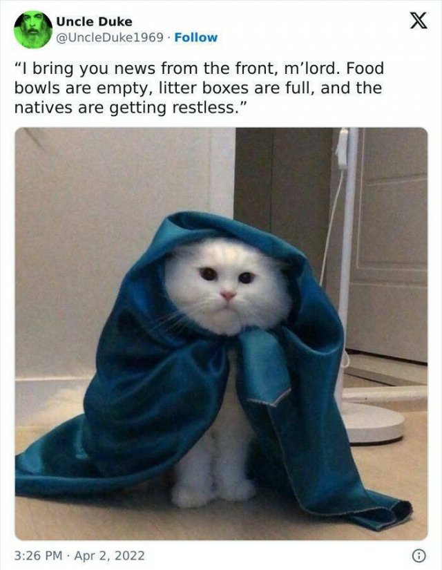Funny Memes (22 pics)