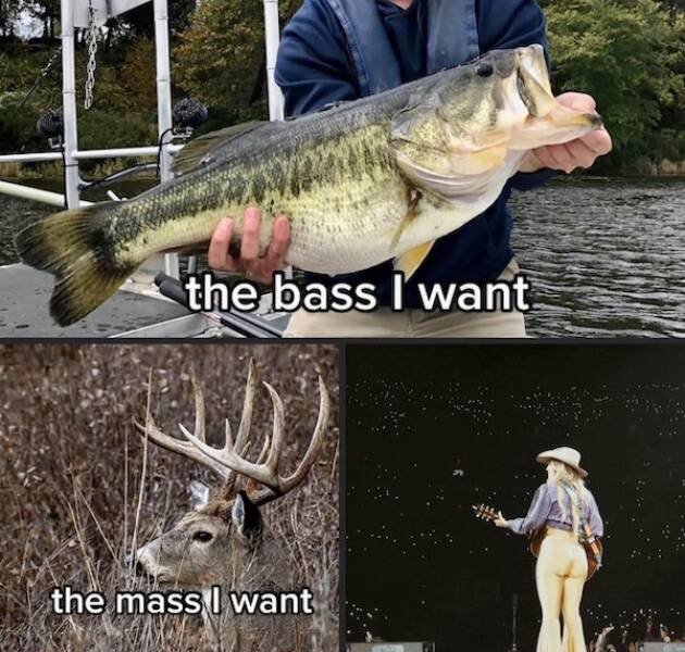 Random Jokes (18 pics)