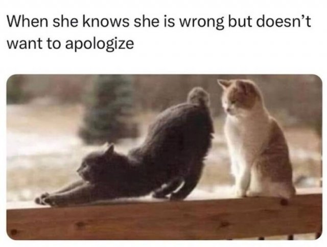 Random Jokes (18 pics)