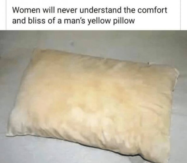 Random Jokes (18 pics)