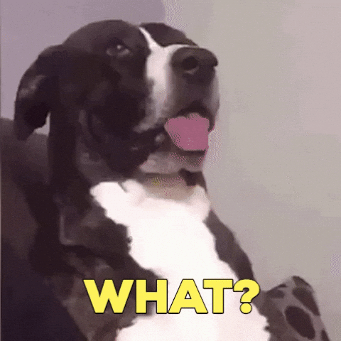 Random Facts (15 gifs)