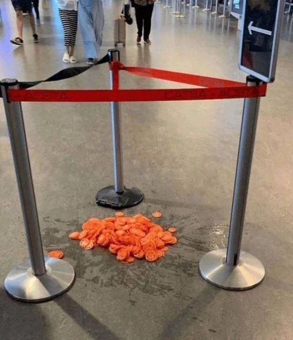 What Is Going On Here? (33 pics)