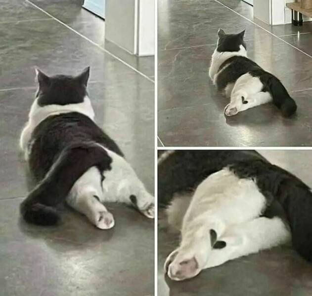 What Is Going On Here? (24 pics)