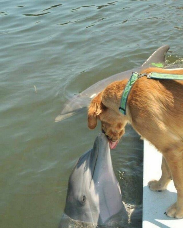 What Is Going On Here? (24 pics)