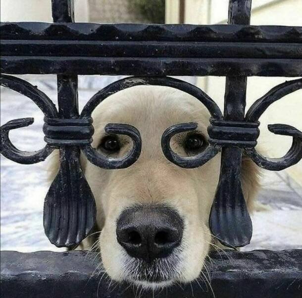 What Is Going On Here? (24 pics)